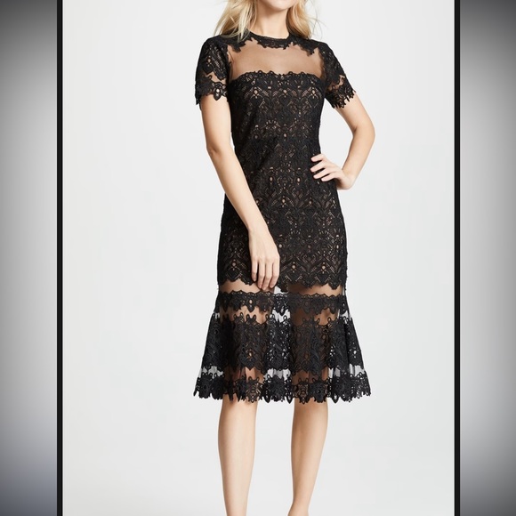 Lace sheer midi dress - Picture 1 of 1